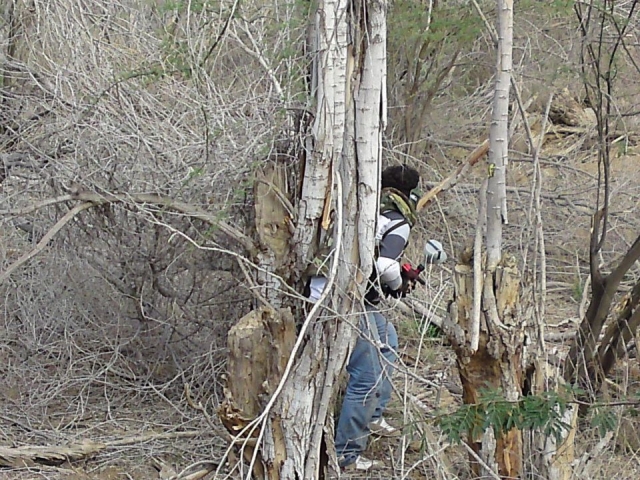 Escondido entre la naturaleza